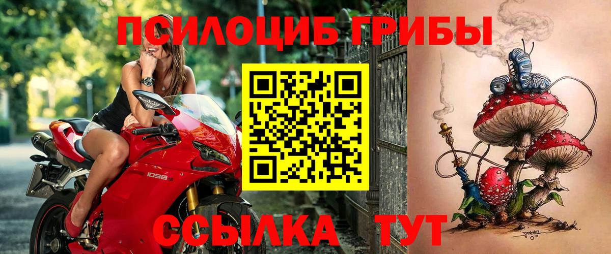 Шелехов  Псилоцибиновые грибы Cubensis  Вход с VPN 