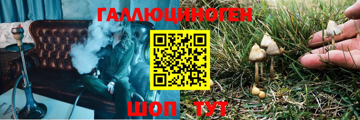 Псилоцибиновые грибы GOLDEN TEACHER Шелехов